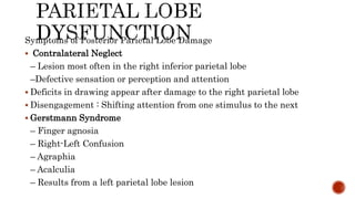 Cortical lobar functions and its implications in psychiatry.pptx