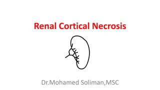 Renal Cortical Necrosis
Dr.Mohamed Soliman,MSC
 