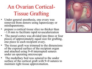 An Ovarian Cortical-
Tissue Grafting
• Under general anesthesia, one ovary was
removed from donors using laparoscopy or
minilaparotomy.
• prepare a cortical tissue slice no thicker than
~1.0 mm to facilitate rapid revascularization
• The pared cortex was divided into three or four
pieces of approximately equal size for grafting,
one piece to each recipient ovary.
• The tissue graft was trimmed to the dimensions
of the exposed surface of the recipient organ
and attached using 9–0 interrupted sutures
under an operating microscope
• The medullary bed was sutured to the under
surface of the cortical graft with 9–0 sutures to
maintain tight tissue approximation.
 