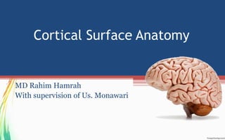 Cortical Surface Anatomy
MD Rahim Hamrah
With supervision of Us. Monawari
 