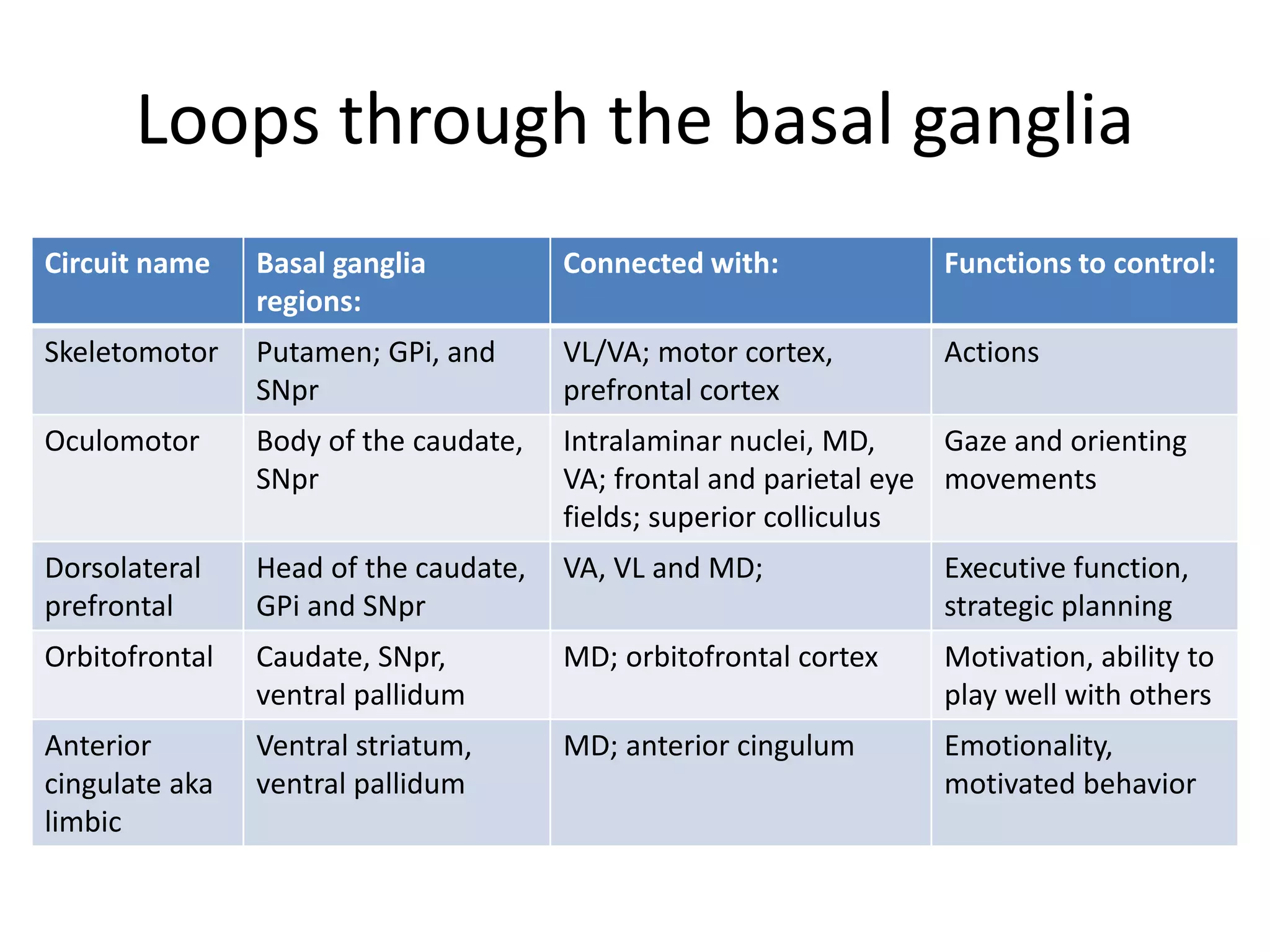 Cortical vs. subcortical loops.ppt