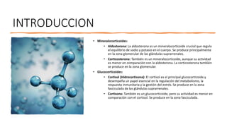 INTRODUCCION
• Mineralocorticoides:
• Aldosterona: La aldosterona es un mineralocorticoide crucial que regula
el equilibrio de sodio y potasio en el cuerpo. Se produce principalmente
en la zona glomerular de las glándulas suprarrenales.
• Corticosterona: También es un mineralocorticoide, aunque su actividad
es menor en comparación con la aldosterona. La corticosterona también
se produce en la zona glomerular.
• Glucocorticoides:
• Cortisol (Hidrocortisona): El cortisol es el principal glucocorticoide y
desempeña un papel esencial en la regulación del metabolismo, la
respuesta inmunitaria y la gestión del estrés. Se produce en la zona
fasciculada de las glándulas suprarrenales.
• Cortisona: También es un glucocorticoide, pero su actividad es menor en
comparación con el cortisol. Se produce en la zona fasciculada.
 