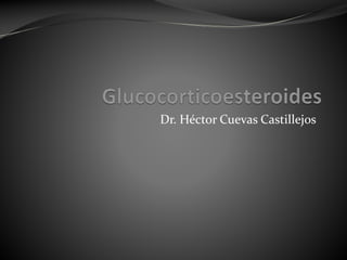 Dr. Héctor Cuevas Castillejos

 
