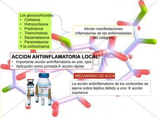 Los glucocorticoides:
• Cortisona
• Hidrocortisona
• Prednisona
• Triamcinolona
• Dexametasona
• Parametasona
Y la corticotropina
Alivian manifestaciones
inflamatorias de las enfermedades
del colágeno
ACCION ANTIINFLAMATORIA LOCAL:
• Importante acción antinflamatoria en piel, ojos
• Aplicación como pomada acción rápida
La acción antiinflamatoria de los corticoides se
ejerce sobre tejidos debido a una  acción
supresiva
MECANISMO DE ACCION
 