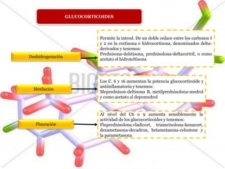 GLUCOCORTICOIDES
Deshidrogenación
Metilación
Fluoración
Permite la introd. De un doble enlace entre los carbonos I
y 2 en la cortisona e hidrocortisona, denominados delta-
derivados y tenemos:
Prednisona-delstisona, prednisolona-deltacortril, o como
acetato el hidroteltisona
Los C. 6 y 16 aumentan la potencia glucocorticoide y
antiinflamatoria y tenemos:
Meprednison-deltisona B, metilprednisolona-medrol
y como acetato al depomedrol
Al nivel del C6 o 9 aumenta sensiblemente la
actividad de los glucocorticoides y tenemos:
Fluprednisolona.vladicort, triamcinolona-kenacort,
dexametasona-decadron, betametasona-celestone y
la parametasona
 