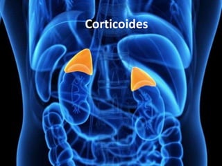 Corticoides
 