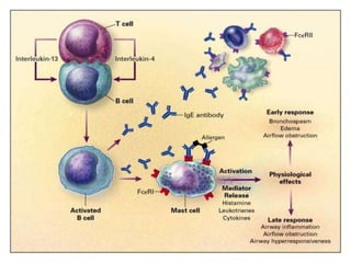 corticoides_farmacolofia_estudo_completo.ppt