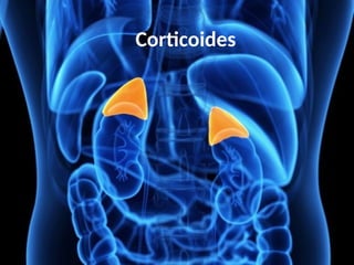corticoides-resumen-presentaci-n-powerpoint-pptx