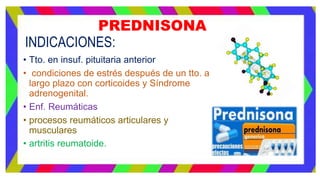 PREDNISONA
INDICACIONES:
• Tto. en insuf. pituitaria anterior
• condiciones de estrés después de un tto. a
largo plazo con corticoides y Síndrome
adrenogenital.
• Enf. Reumáticas
• procesos reumáticos articulares y
musculares
• artritis reumatoide.
 