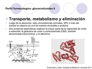 Perfil Farmacologico: glucocorticoides II Transporte, metabolismo y eliminación  Luego de la absorción, bajo circunstancias normales, 90% o más del cortisol en plasma se une de manera reversible a proteína  Dos proteínas plasmáticas explican la mayor parte de la capacidad de unión a esteroide: la globulina de unión a corticosteroide (CBG, también denominada transcortina), y la albúmina.  Corticoides y dolor, facultad de Medicina, Granada 2011 