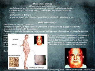 Corticoides y dolor, facultad de Medicina, Granada 2011 Metabolismo proteico Al favorecer la gluconeogénesis: los GC causan atrofia muscular (por consumo de las proteínas musculares),  -osteoporosis (por disminución de la proteína ósea, seguida de perdida de calcio),  adelgazamiento de la piel  y balance negativo de nitrógeno (aumento de la eliminación urinaria de urea).  Metabolismo lipídico Ejercen efectos directos o indirectos: -Aumentan el apetito y la ingesta calórica ( favorecen la penetración de glucosa en la célula y desencadenan la secreción de insulina).  Favorecen o estimulan la acción de otros agentes lipolíticos, como la acción de las catecolaminas que inducen lipólisis.  Además los corticoides producen una redistribución de la grasa corporal promoviendo su depósito en la parte superior del organismo, fundamentalmente en el tronco y reduciendo su depósito en la parte inferior. Este tipo de redistribución da lugar a una obesidad de tipo troncular (cara de luna llena, joroba grasa) con adelgazamiento de las extremidades inferiores. Este efecto parece derivarse de su acción hiperglucemiante, que origina en el plasma una mayor liberación de insulina que en última instancia facilita el depósito de grasa en esas zonas. En diabéticos, induce hipertrigliceridemia 