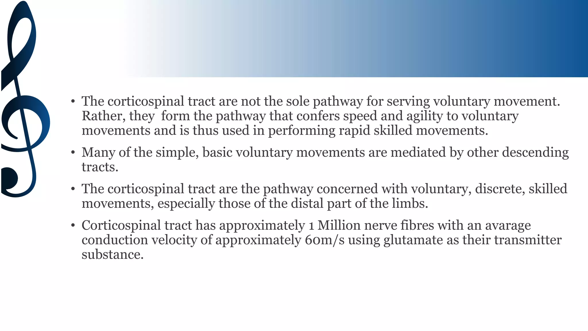 Corticospinal tract (Pyramidal tract) | PPTX