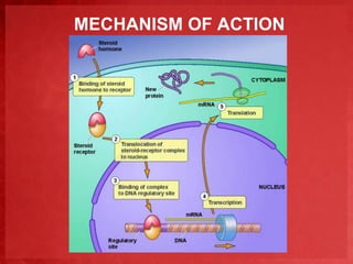 MECHANISM OF ACTION 
 