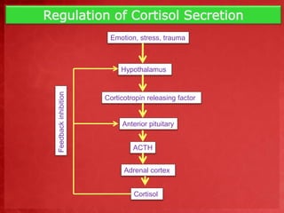 Regulation of Cortisol Secretion 
Emotion, stress, trauma 
Hypothalamus 
Corticotropin releasing factor 
Anterior pituitary 
ACTH 
Adrenal cortex 
Cortisol 
Feedback inhibition 
 