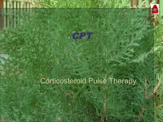 CPT
Corticosteroid Pulse Therapy
 