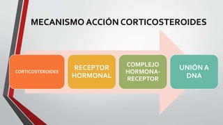 MECANISMO ACCIÓN CORTICOSTEROIDES
CORTICOSTEROIDES
RECEPTOR
HORMONAL
COMPLEJO
HORMONA-
RECEPTOR
UNIÓN A
DNA
 
