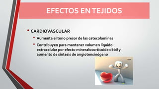 EFECTOS ENTEJIDOS
• CARDIOVASCULAR
• Aumenta el tono presor de las catecolaminas
• Contribuyen para mantener volumen líquido
extracelular por efecto mineralocorticoide débil y
aumento de síntesis de angiotensinógeno
 