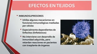 EFECTOS ENTEJIDOS
• INMUNOSUPRESORES
• Inhibe algunos mecanismos en
funciones inmunológicas mediadas
por células
• Especialmente dependientes de
linfocitos (linfotóxicos)
• No interviene con desarrollo de
inmunidad adquirida, pero
retardan reacciones en pacientes
con trasplante de órganos
 