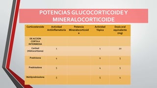 POTENCIAS GLUCOCORTICOIDEY
MINERALOCORTICOIDE
Corticosteroide Actividad
Antiinflamatoria
Potencia
Mineralocorticoid
e
Actividad
Tópica
Dosis oral
equivalente
(mg)
DE ACCION
CORTAA
INTERMEDIA
Cortisol
(Hidrocortisona)
1 1 20
Prednisona 4 0 5
Prednisolona 5 4 5
Metilprednisolona 5 5 4
 