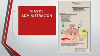 VIAS DE
ADMINISTRACIÓN
 