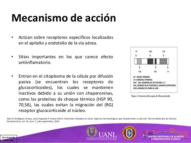 Corticosteroides II - Inhalados, oftálmicos y óticos Corticosteroides II - Inhalados, oftálmicos y óticos