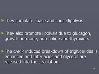 They stimulate lipase and cause lipolysis.  They also promote lipolysis due to glucagon, growth hormone, adrenaline and thyroxine.  The cAMP induced breakdown of triglycerides is enhanced and fatty acids and glycerol are released into the circulation. 