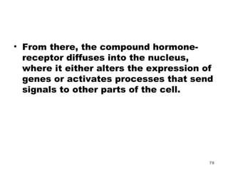 From there, the compound hormone-receptor diffuses into the nucleus, where it either alters the expression of genes or activates processes that send signals to other parts of the cell. 
