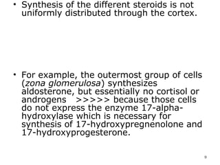 Synthesis of the different steroids is not uniformly distributed through the cortex.  For example, the outermost group of cells ( zona glomerulosa ) synthesizes aldosterone, but essentially no cortisol or androgens  >>>>> because those cells do not express the enzyme 17-alpha-hydroxylase which is necessary for synthesis of 17-hydroxypregnenolone and 17-hydroxyprogesterone.  