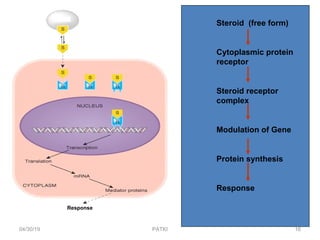 Steroid (free form)
Cytoplasmic protein
receptor
Steroid receptor
complex
Modulation of Gene
Protein synthesis
Response
Response
04/30/19 16PATKI
 