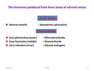 The hormones produced from three zones of adrenal cortex
Adrenal medulla : Epinephrine (adrenaline)
Zona glomerulosa (outer) : Mineralocorticoids
Zona fasciculata (middle) : Glucocorticoids
Zona reticularis (inner) : Adrenal androgens
Acute stress
Chronic stress
04/30/19 2PATKI
 