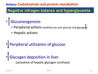 Actions: Carbohydrate and protein metabolism
• Gluconeogenesis
– Peripheral actions (mobilize aas and glucose and glycogen)
– Hepatic actions
• Peripheral utilization of glucose
• Glycogen deposition in liver
(activation of hepatic glycogen synthase)
Negative nitrogen balance and hyperglycemia
04/30/19 33PATKI
 
