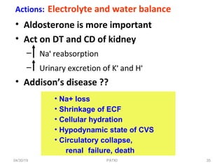 Actions: Electrolyte and water balance
• Aldosterone is more important
• Act on DT and CD of kidney
– Na+
reabsorption
– Urinary excretion of K+
and H+
• Addison’s disease ??
• Na+ loss
• Shrinkage of ECF
• Cellular hydration
• Hypodynamic state of CVS
• Circulatory collapse,
renal failure, death
04/30/19 35PATKI
 
