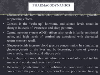 • Glucocorticoids have metabolic, anti-inflammatory, and growth-
suppressing effects.
• Cortisol is the “wake-up” hormone, and altered levels result in
changes in levels of awareness and sleep patterns.
• Central nervous system (CNS) effects also result in labile emotional
states, and high levels of cortisol are associated with decreased
recent memory recall.
• Glucocorticoids increase blood glucose concentration by stimulating
gluconeogenesis in the liver and by decreasing uptake of glucose
into muscle, lymphatic, and adipose cells.
• In extrahepatic tissues, they stimulate protein catabolism and inhibit
amino acid uptake and protein synthesis.
• Decreased proliferation of fibroblasts in connective tissue in
concert with the poor protein synthesis leads to poor wound healing
PHARMACODYNAMICS
 