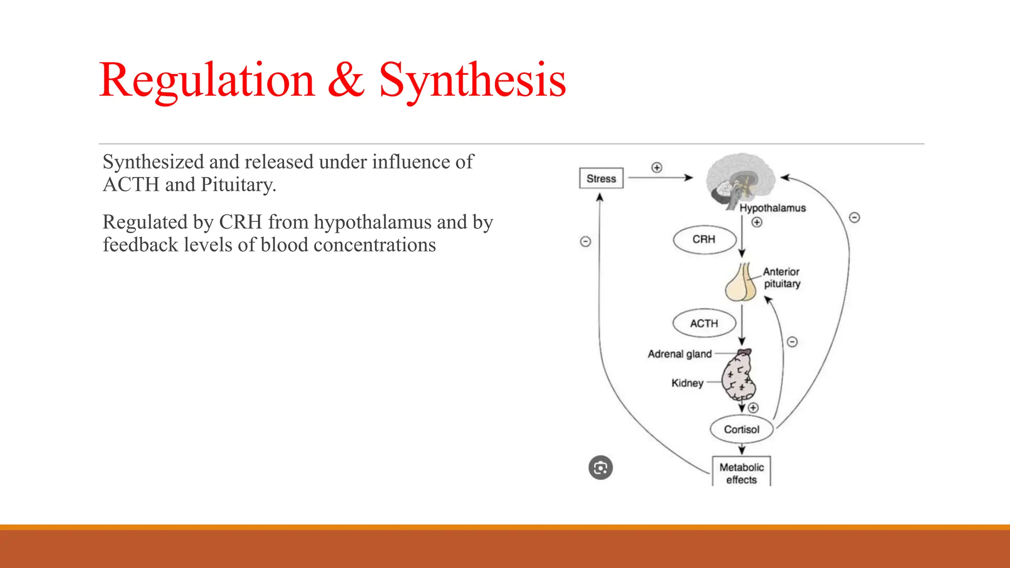 Molecular & Cellular Pharmacology & Mechanism of Action of ...