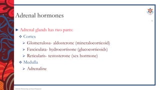 Adrenal hormones
► Adrenal glands has two parts:
 Cortex
 Glomerulosa- aldosterone (mineralocorticoid)
 Fasciculata- hydrocortisone (glucocorticoids)
 Reticularis- testosterone (sex hormone)
 Medulla
 Adrenaline
Endocrine Pharmacology and Dental Therapeutics
3
 