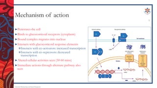Mechanism of action
►Penetrates the cell
►Binds to glucocorticoid receptors (cytoplasm)
►Bound complex migrates into nucleus
►Interacts with glucocorticoid response elements
Interacts with co-activators: increased transcription
Interacts with co-repressors: decreased
transcription
►Altered cellular activities seen (30-60 mins)
►Immediate actions through alternate pathway also
seen
Endocrine Pharmacology and Dental Therapeutics
5
 