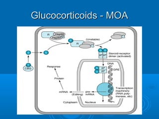 Glucocorticoids - MOAGlucocorticoids - MOA
 