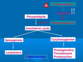 Phospholipids
Arachidonic acids
lipoxygenase Cycylooxygenase
Leukotriene
Prostaglandins,
Thromboxane
Prostacyclins
Phospholipase A2
Lipocortin
Corticosteroids
PAF by lipocortin
 