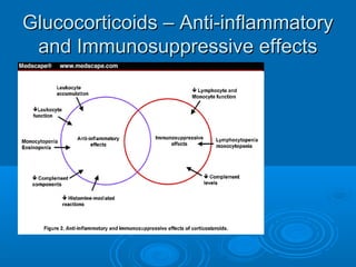 Glucocorticoids – Anti-inflammatoryGlucocorticoids – Anti-inflammatory
and Immunosuppressive effectsand Immunosuppressive effects
 