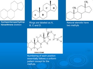 Cyclopentanoperhydrop
henanthrene skeleton
Rings are labeled as A,
B, C and D.
Natural steroids have
two methyls
Numbering of each position
essentially follows a uniform
pattern except for the
methyls.
 