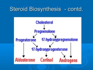 Steroid Biosynthesis - contd.Steroid Biosynthesis - contd.
 