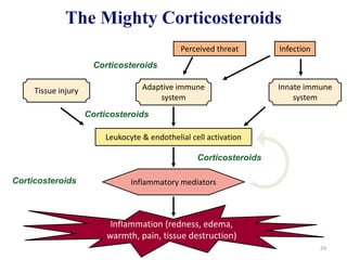 Corticosteroids the often used but least understood drug