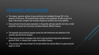 GENOMIC MECHANISM
 The classic, genomic actions of glucocorticoids are mediated through GR. In the
absence of hormone, GR predominantly resides in the cytoplasm of cells as part of a
large multi-protein complex that includes chaperone proteins and immunophilins.
 Glucocorticoid-induced gene expression is frequently cell type-specific and only a small
proportion of genes are commonly activated between different tissues.
 The lipophilic glucocorticoid passes across the cell membrane and attaches to the
cytosolic glucocorticoid receptor
 These glucocorticoid complexes then bind to glucocorticoid-responsive elements of
genomic DNA, or interact with nuclear transcription factors.
 This process takes time at least 30 minutes before the clinical effect of a glucocorticoid
begins to show.
 