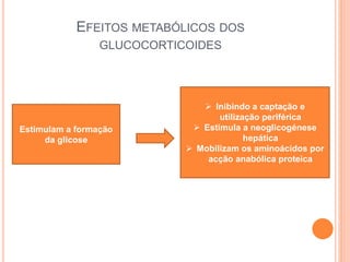 EFEITOS METABÓLICOS DOS
GLUCOCORTICOIDES
Estimulam a formação
da glicose
 Inibindo a captação e
utilização periférica
 Estimula a neoglicogénese
hepática
 Mobilizam os aminoácidos por
acção anabólica proteica
 