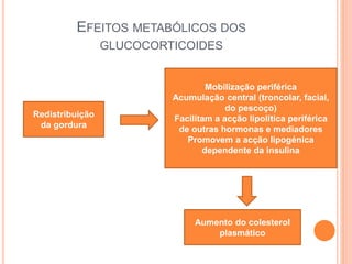 EFEITOS METABÓLICOS DOS
GLUCOCORTICOIDES
Redistribuição
da gordura
Mobilização periférica
Acumulação central (troncolar, facial,
do pescoço)
Facilitam a acção lipolitica periférica
de outras hormonas e mediadores
Promovem a acção lipogénica
dependente da insulina
Aumento do colesterol
plasmático
 