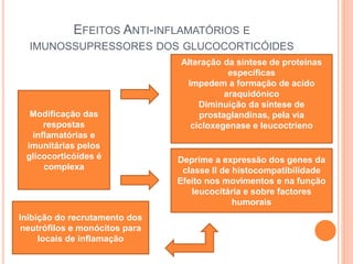 EFEITOS ANTI-INFLAMATÓRIOS E
IMUNOSSUPRESSORES DOS GLUCOCORTICÓIDES
Modificação das
respostas
inflamatórias e
imunitárias pelos
glicocorticóides é
complexa
Alteração da síntese de proteínas
específicas
Impedem a formação de acido
araquidónico
Diminuição da síntese de
prostaglandinas, pela via
cicloxegenase e leucoctrieno
Deprime a expressão dos genes da
classe II de histocompatibilidade
Efeito nos movimentos e na função
leucocitária e sobre factores
humorais
Inibição do recrutamento dos
neutrófilos e monócitos para
locais de inflamação
 