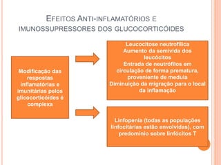 EFEITOS ANTI-INFLAMATÓRIOS E
IMUNOSSUPRESSORES DOS GLUCOCORTICÓIDES
Modificação das
respostas
inflamatórias e
imunitárias pelos
glicocorticóides é
complexa
Leucocitose neutrofílica
Aumento da semivida dos
leucócitos
Entrada de neutrófilos em
circulação de forma prematura,
proveniente de medula
Diminuição da migração para o local
da inflamação
Linfopenia (todas as populações
linfocitárias estão envolvidas), com
predomínio sobre linfócitos T
 