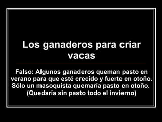 Los ganaderos para criar vacas Falso: Algunos ganaderos queman pasto en verano para que esté crecido y fuerte en otoño. Sólo un masoquista quemaría pasto en otoño.  (Quedaría sin pasto todo el invierno) 