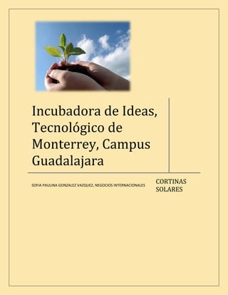 Incubadora de Ideas,
Tecnológico de
Monterrey, Campus
Guadalajara
                                                           CORTINAS
SOFIA PAULINA GONZALEZ VAZQUEZ, NEGOCIOS INTERNACIONALES
                                                           SOLARES
 