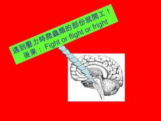 遇到壓力時爬蟲類的部份就開工！
後果： Fight or flight or fright
 